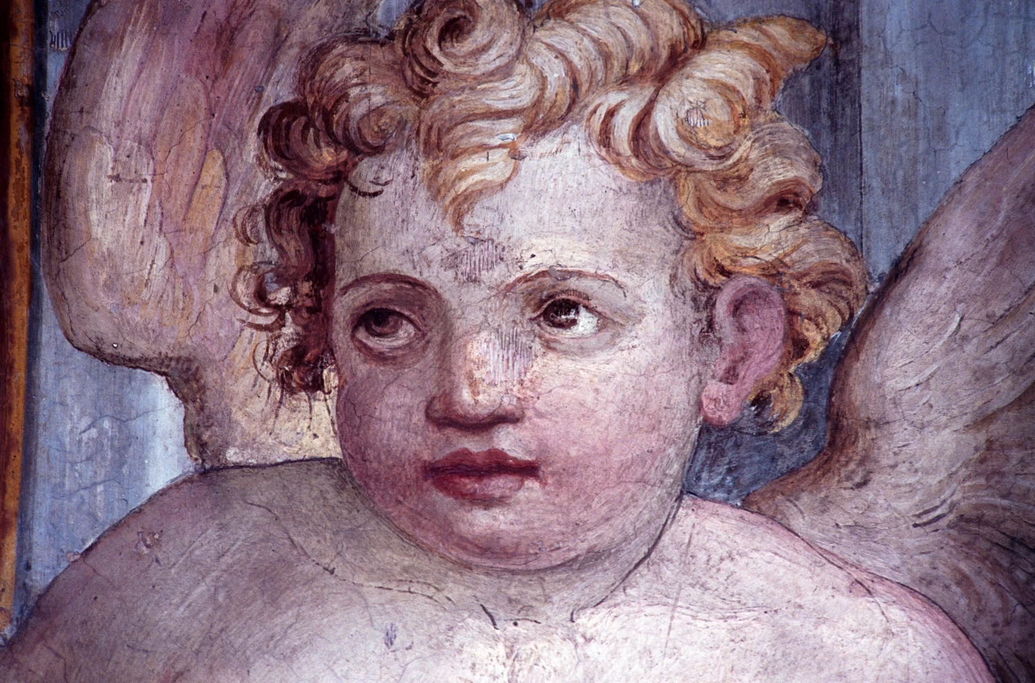 Perin del Vaga - 147, Episodi della vita di Alessandro Magno, episodi della vita di San Paolo, figure allegoriche, virtù e imprese farnesiane, Castel Sant'Angelo, Roma 17